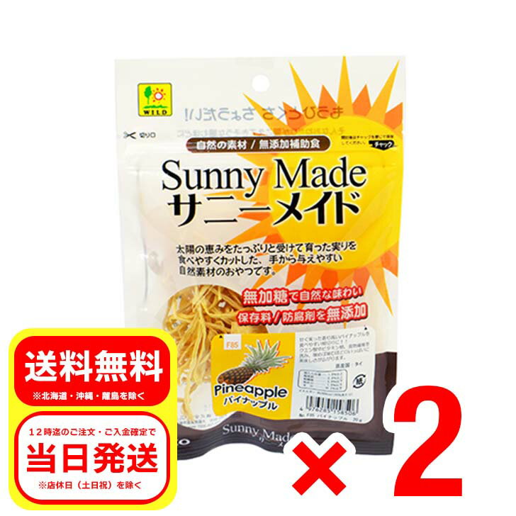 Rakuten - 2個セット 三晃商会 サニーメイド パイナップル 20g おやつ 補助食品 F85