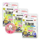3個セット 三晃商会 小鳥のための乳酸菌 20g 便利な計量スプーン付き カルシウムIn 顆粒タイプ 小鳥用栄養補助測品 SANKO F45
