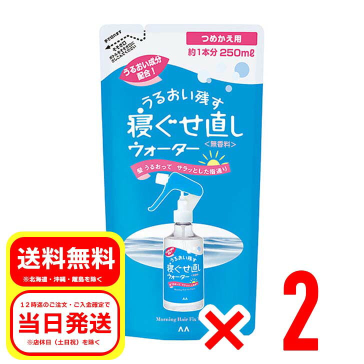 2個セット マンダム 寝ぐせ直しウォーター つめかえ用 250ml 詰め替え用 無香料