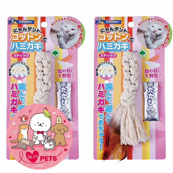 キャティーマン にゃんデント コットンでハミガキ スティック 無添加粉末虫えい果入り（0.5g×1包）×2個 猫用 デンタル玩具