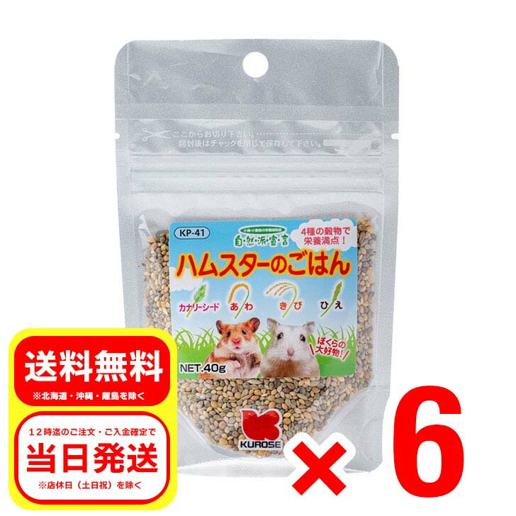 6個セット 黒瀬ペットフード ハムスターのごはん 40g 自然派宣言 栄養補助食 カナリアシード あわ きび ひえ 穀物 KP-41