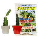 ドラゴンフルーツ苗挿木苗紅白苗小サイズと肥料有機の王様2kgセット