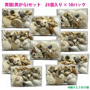 【送料無料】貝殻(貝がら)セット 磨きアワビ入り シェルミックス 25個入り×10パック