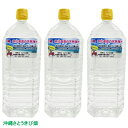 沖縄 浜比嘉島の天然海水 2L×3本
