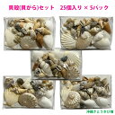 【送料無料】貝殻(貝がら)セット 磨きアワビ入り シェルミックス 25個入り×5パック