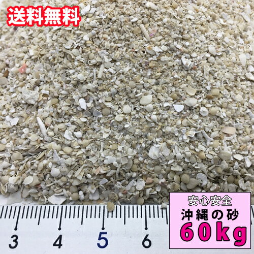 【送料無料】イベントに！安心安全　国内産　沖縄の砂　ミックス砂　60kg(2平米分)