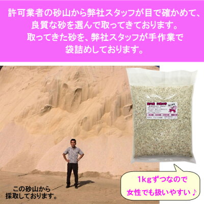 楽天市場 安心安全 国内産 沖縄の砂 サンゴ砂 1kg 沖縄サトウキビ畑 楽天市場 安心安全 国内産 沖縄の砂 サンゴ砂 1kg 沖縄サトウキビ畑