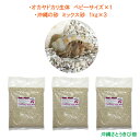 オカヤドカリ生体 ベビーサイズ×1匹　沖縄の砂　1kg×3袋 その1