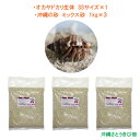 オカヤドカリ生体 SSサイズ×1匹 沖縄の砂 1kg×3袋