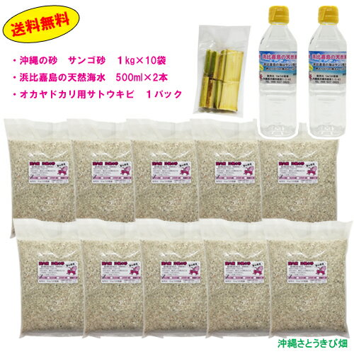 オカヤドカリ飼育セット　サンゴ砂10kg・海水500ml×2・サトウキビ