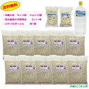 オカヤドカリ飼育セット サンゴ砂10kg・海水2L・ふわり&ぽっぷん