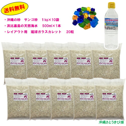 ɥ饻åȡ󥴺10kg500mlå