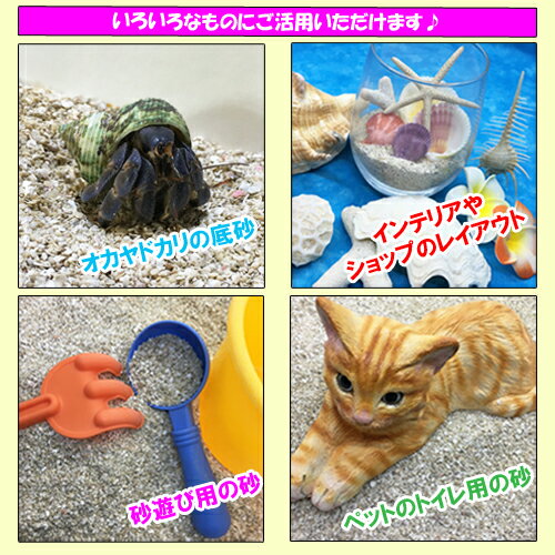 安心安全　国内産　沖縄の砂　使い比べ　4種セット 2