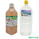 【送料無料】オカヤドカリ用　環境改善液 1L＆海水 2L セット その1