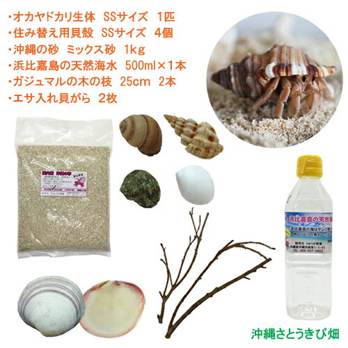 ɥ饻åȡSS(Ρ1ɤ̡1ޡ1糭2硦ڤλޡ2)