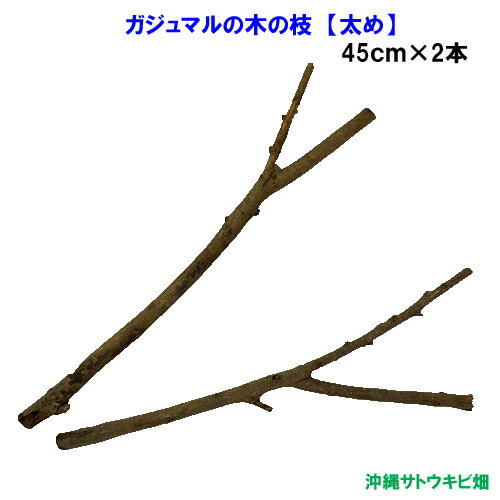 【流木】特殊大型 枝流木　M-10 セレクト物　神戸店在庫