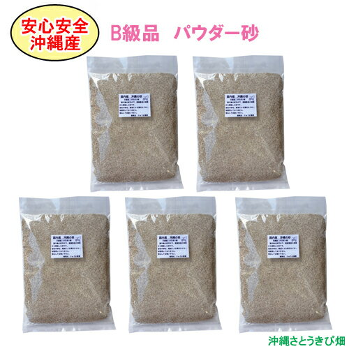 【送料無料】安心安全　国内産　沖縄の砂　［B級品］パウダー砂　1kg×5パック(5kg)