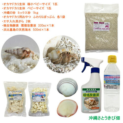 飼育セット　極小ベビーサイズ＆ベビーサイズ(生体×2匹・砂×1袋・ふわり＆ぽっぷん×1・二枚貝×2枚 ...