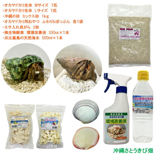 饻åȡML(Ρ2ɤ1ޡդݤäפ1糭2硦Ķա11)