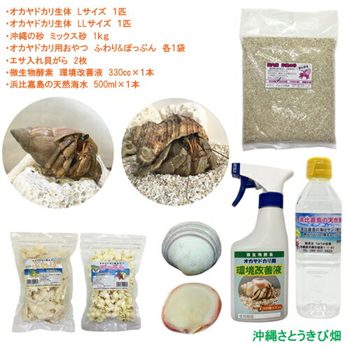 饻åȡLLL(Ρ2ɤ1ޡդݤäפ1糭2硦Ķա11)