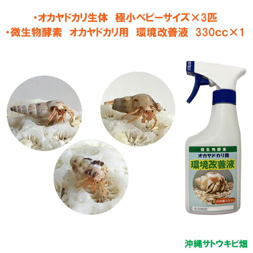 【商品内容】 ・オカヤドカリ生体　極小ベビーサイズ×3匹 ・微生物酵素　環境改善液　330cc×1本 《オカヤドカリ生体》 極小ベビーサイズ 殻口：2mm-5mm 全長：5mm-15mm 匹数：3匹 ※写真はイメージです　 ※生き物です　生体の色、貝殻の種類をお選びすることはできません ※貝がらの形状によっては、殻口の長さが規格より多少前後する場合がございます ※細長い貝がらは、全長のサイズが規格より長くなる場合がございます ※貝殻に欠けがあったり、キズ、汚れ(石灰等)、模様のズレなどがある場合がございます ※複数のオカヤドカリをご購入頂いても、プラケースが複数になるとは限りません※生き物です　足に多少の欠けがある場合がございます　予めご了承ください 沖縄から元気なオカヤドカリをお届けします オカヤドカリは国の天然記念物です 指定業者が時期・量を限定し捕獲許可をもらっています 当店は、国から特別に許可を受けた業者から仕入れ販売しております 《微生物酵素　環境改善液》 【商品内容】 微生物酵素　オカヤドカリ用 環境改善液 内容量：330cc 沖縄の気候の中で育まれた微生物から抽出した酵素で、水槽の中の微生物の働きが活発になり、オカヤドカリの糞やエサの食べ残しの分解を促進します それにより、悪臭と悪玉菌の発生を抑えオカヤドカリの生活環境を良好にします 自然の力で消臭できるので、オカヤドカリにも安心安全です ＊キーワード おかやどかり　個体　脱皮　引っ越し　住替え　着替え　宿替え　水槽　アクアリウム　アクア用品　飼育用品　天然　自然　国産　ペット　ポイント消化