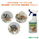 オカヤドカリ生体 ベビーサイズ×3匹 環境改善液 330cc×1