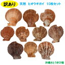 【訳あり】ヒオウギ貝 10枚セット