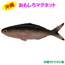 おもしろマグネット グルクン(ぐるくん) タカサゴ