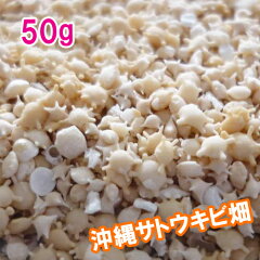 https://thumbnail.image.rakuten.co.jp/@0_mall/ryuukasaki/cabinet/00809944/02730167/hoshi50g.jpg