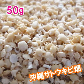 メール便（ネコポス）発送商品沖縄　石垣島　星の砂(星砂)　50g