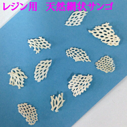 ᡼ءʥͥݥȯ 쥸󥢡 ŷ־