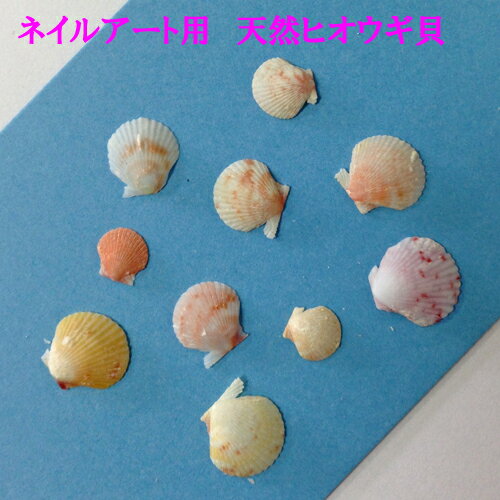 ᡼ءʥͥݥȯ ͥ롦쥸󥢡ѡŷҥ