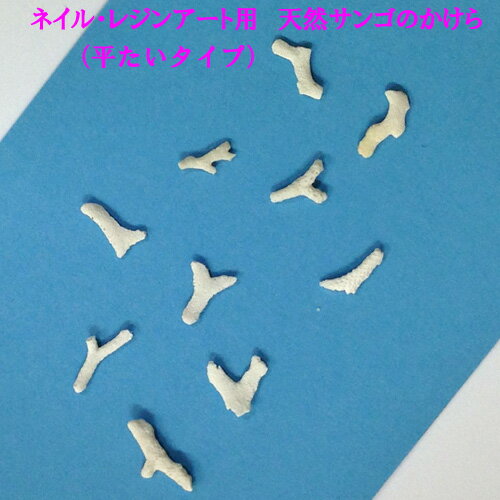 ᡼ءʥͥݥȯʡͥ롦쥸󥢡 ŷ󥴤Τʿס
