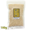 メール便(ネコポス)発送商品《手選別》沖縄 石垣島 星の砂(星砂) 100g