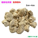 琉球石灰岩 洗浄済み 小粒タイプ 2cm〜4cm 300g