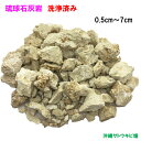 琉球石灰岩 洗浄済み 小粒タイプ 0.5cm~7cm 1kg
