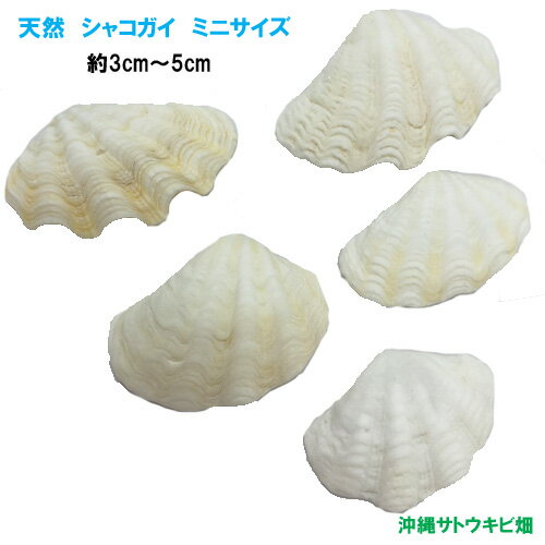 imgrc0088784896.jpg imgrc0088784896.jpg