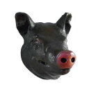 メール便(ネコポス)発送商品 おもしろマグネット アグー美ら豚(ちゅら豚) 大サイズ