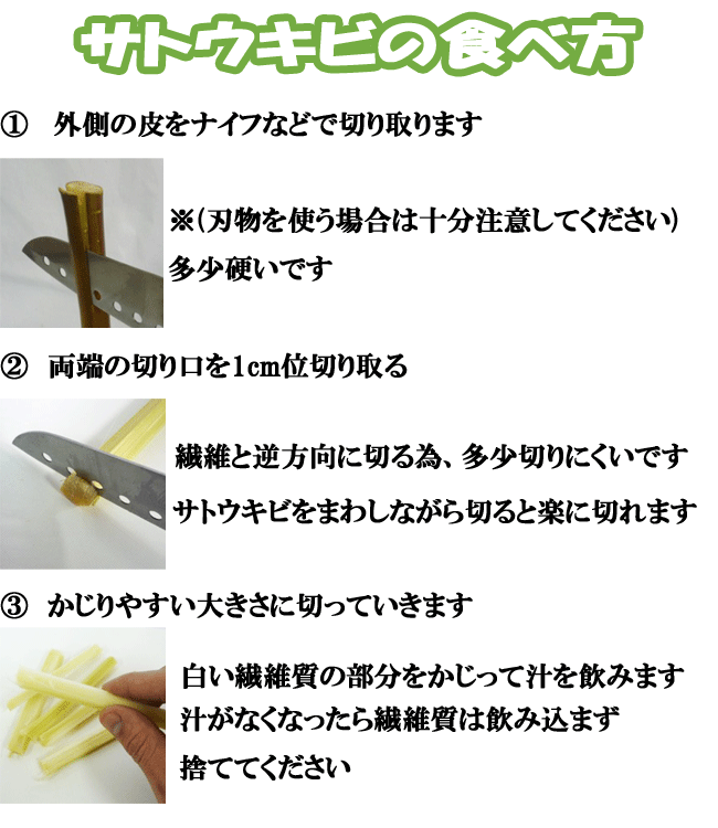 沖縄県産 生さとうきび 代引不可 サトウキビ 400gパック 10 食用