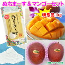【送料無料】ぬちまーす250g&沖縄県産アップルマンゴー特秀品 1kgセット(2玉〜3玉)