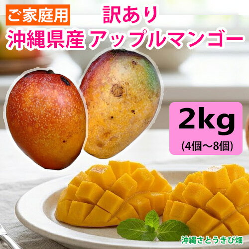 食品 沖縄産 ワケありマンゴー 4.5キロ クール便発送