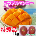 【送料無料】沖縄県産アップルマンゴー特秀品 1kgセット(2玉〜3玉)