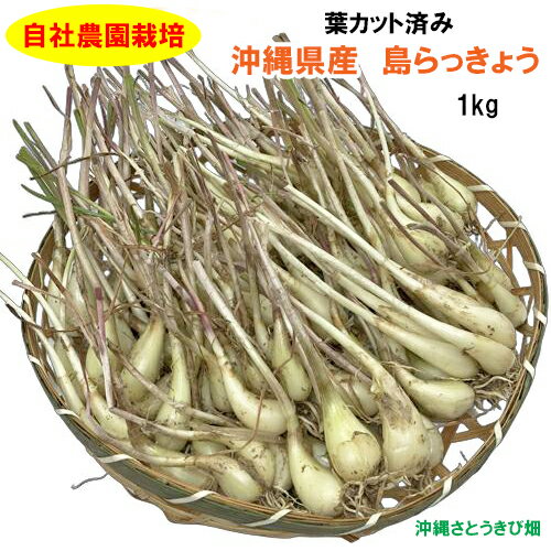 ̵ۼݡ츩ä礦եåȺѤߡ1kg