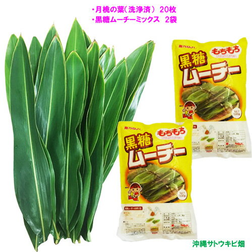 【送料無料】月桃の葉(洗浄済)20枚&黒糖ムーチー粉(黒糖餅粉)2袋 【送料無料】月桃の葉(洗浄済)20枚&黒糖ムーチー粉(黒糖餅粉)2袋