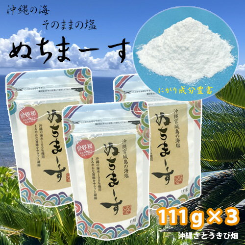 メール便（ネコポス）発送商品　ぬちまーす　111g×3　　　|沖縄 お土産 塩 海塩 ミネラル にがり