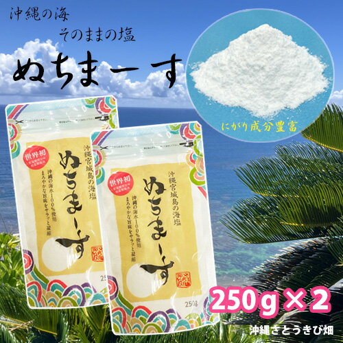 メール便（ネコポス）発送商品　ぬちまーす　250g×2　　　|沖縄 お土産 塩 海塩 ミネラル にがり...