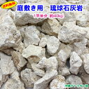 【送料無料】M 庭敷き用 琉球石灰岩 1平米分(約40kg)