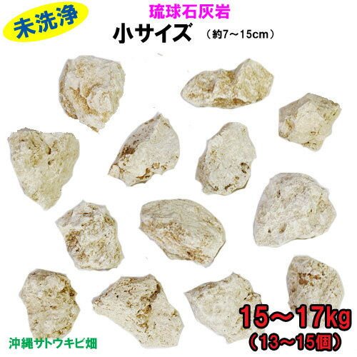 【送料無料】A 琉球石灰岩　未洗浄　小サイズ　15〜17kg(13〜15個)