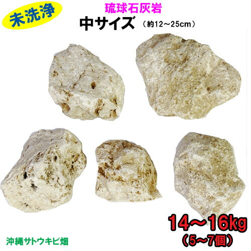 【送料無料】C 琉球石灰岩　未洗浄　中サイズ　14〜16kg(5〜7個)