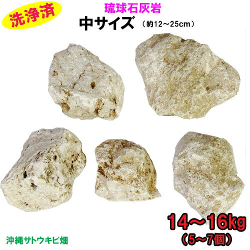 【送料無料】D 琉球石灰岩　洗浄済　中サイズ　14〜16kg(5〜7個)